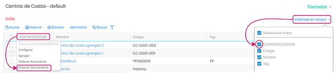 Visibilidad y orden campo CentroCostoId