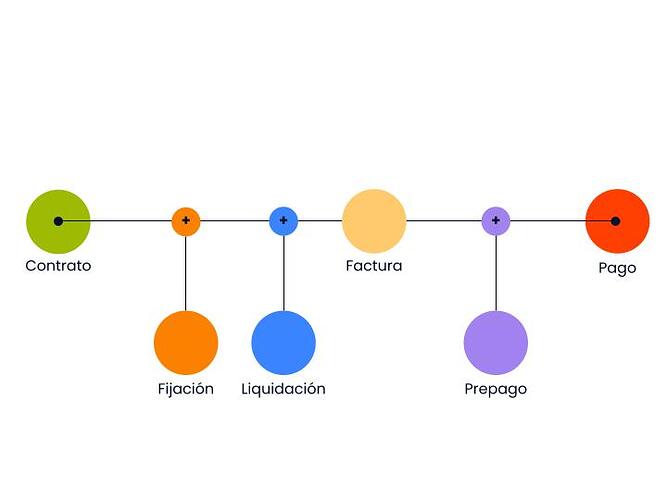 Arrendamientos - Alcance