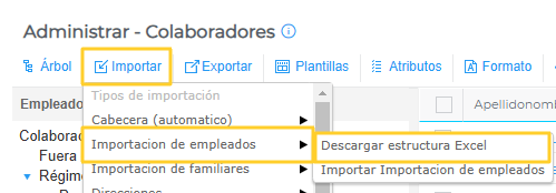 Descargar estructura